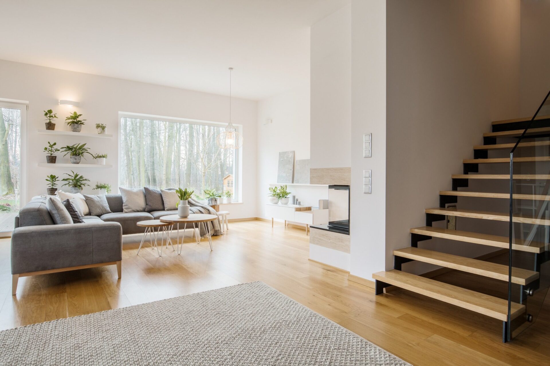 Living room interior with plants on shelves and wooden stairs Living room interior with plants on shelves and wooden stairs
